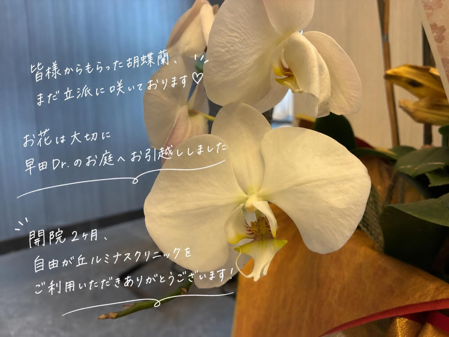 【開院2ヶ月のご挨拶💐】