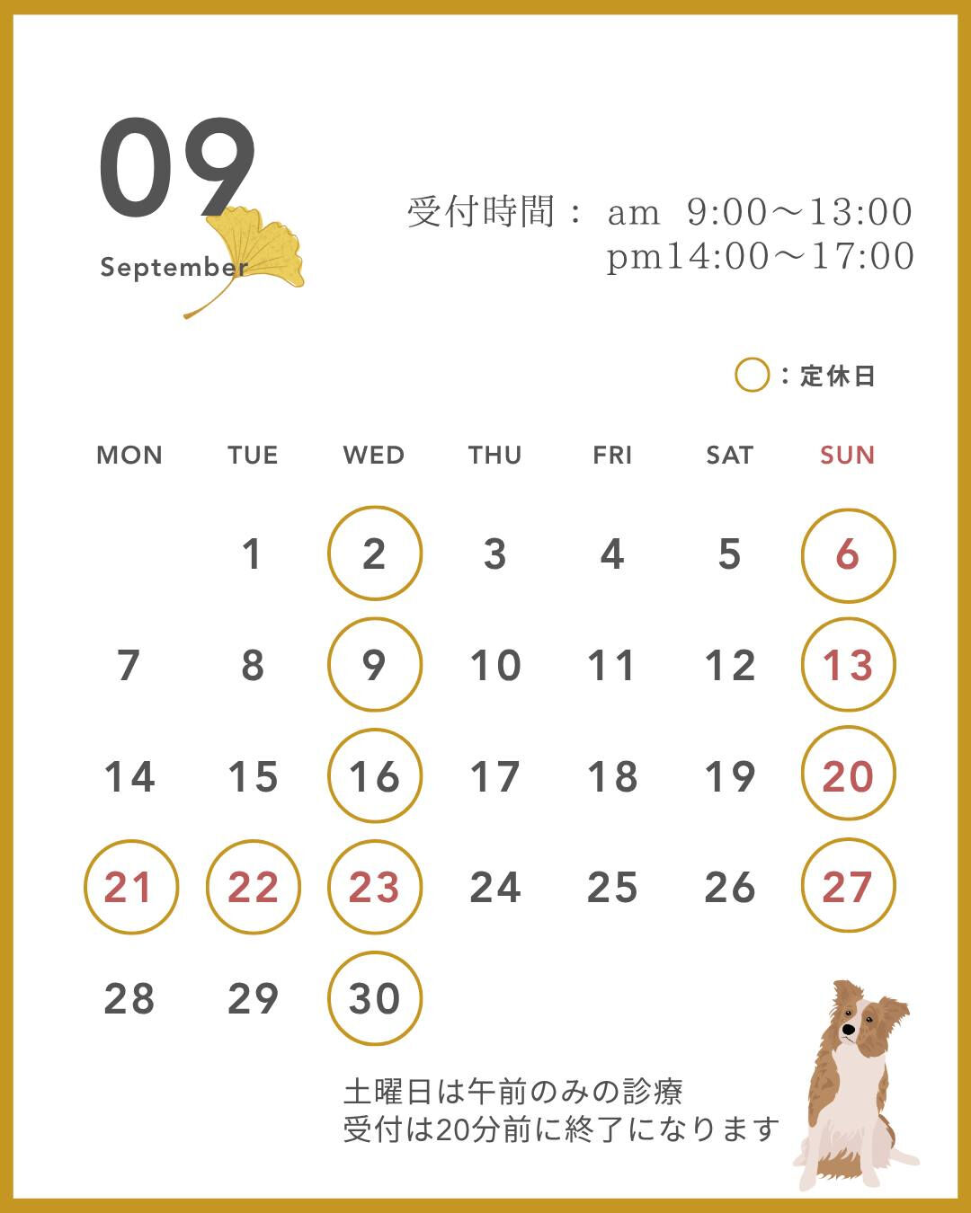 こんにちは✨